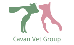 Cavan Vet Group